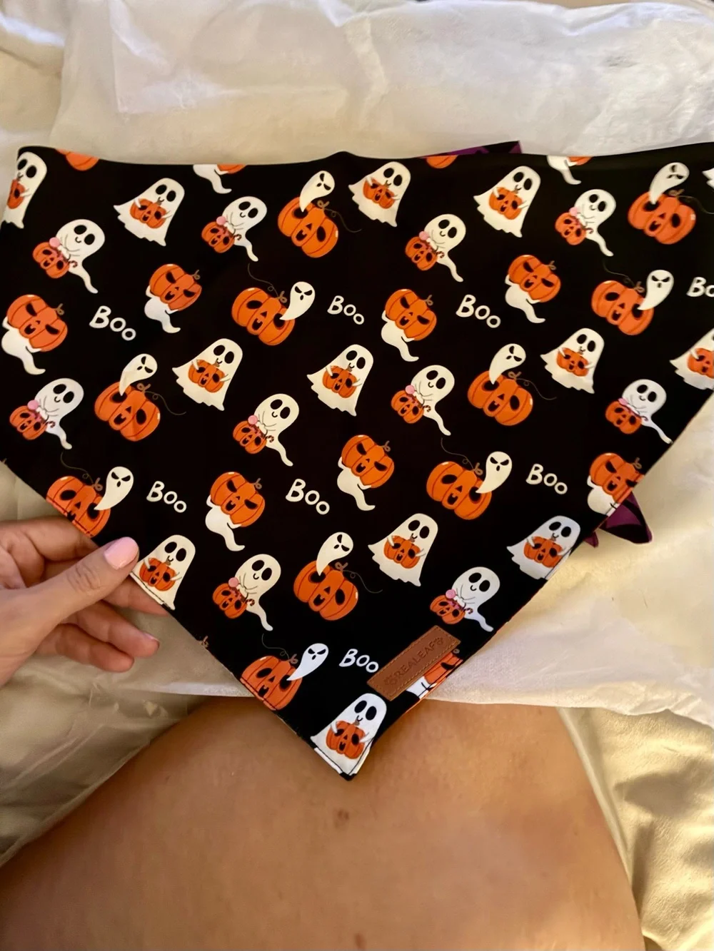 Realeaf’s Halloween Bandanas for Dogs- Black & Purple Pumpkin Ghost Print